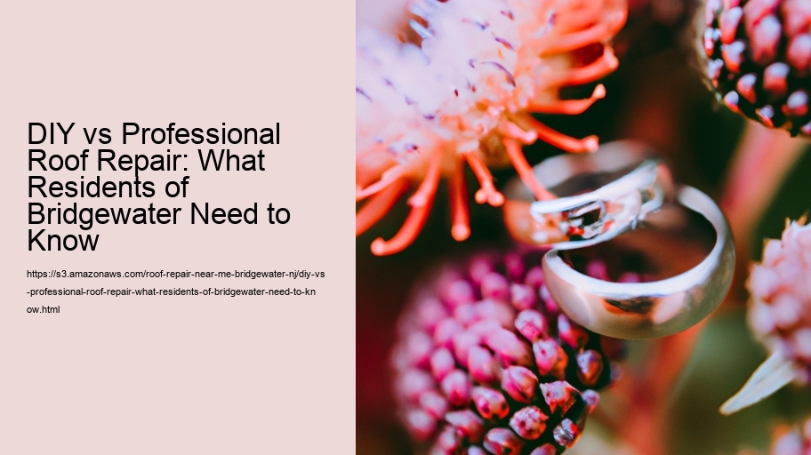 DIY vs Professional Roof Repair: What Residents of Bridgewater Need to Know