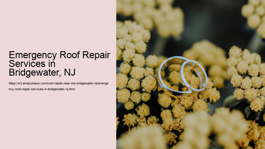 Emergency Roof Repair Services in Bridgewater, NJ