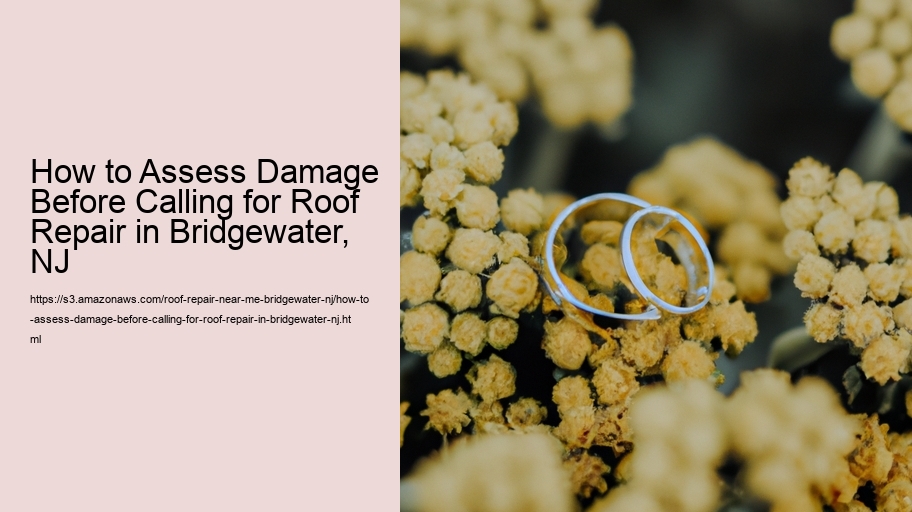 How to Assess Damage Before Calling for Roof Repair in Bridgewater, NJ