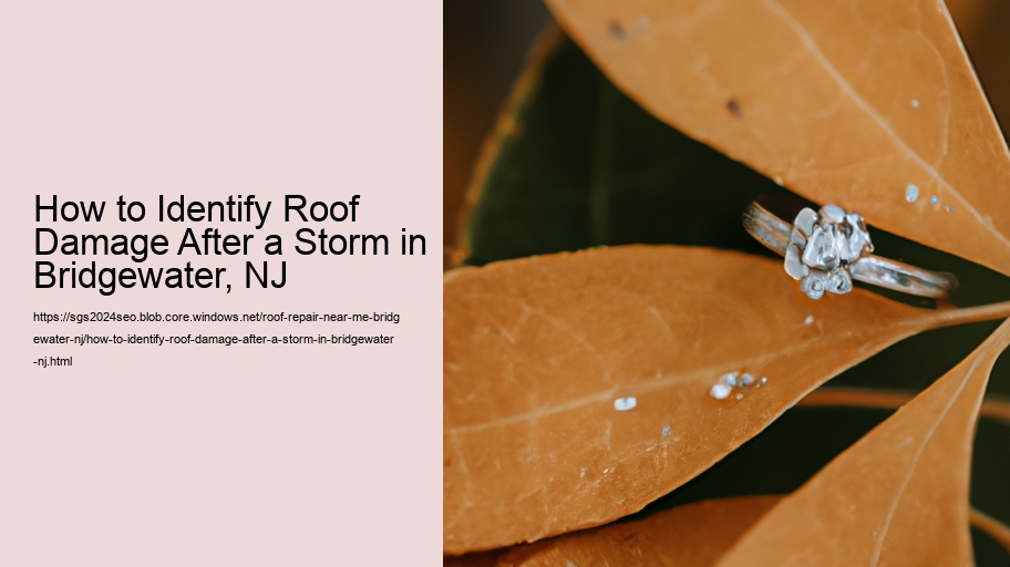 How to Identify Roof Damage After a Storm in Bridgewater, NJ