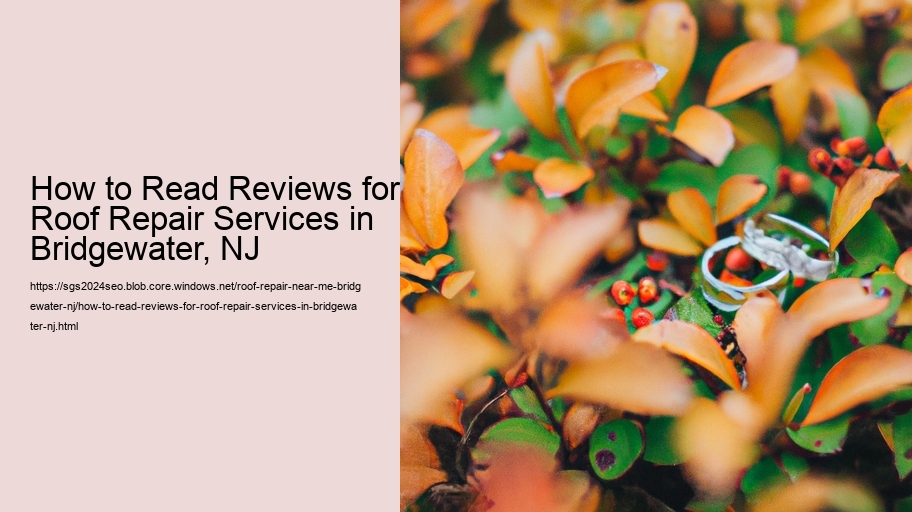 How to Read Reviews for Roof Repair Services in Bridgewater, NJ