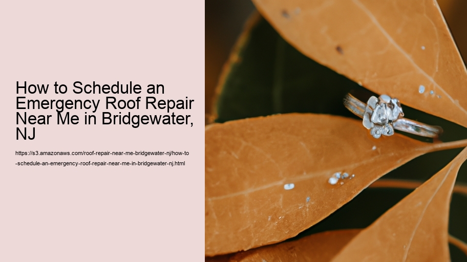 How to Schedule an Emergency Roof Repair Near Me in Bridgewater, NJ