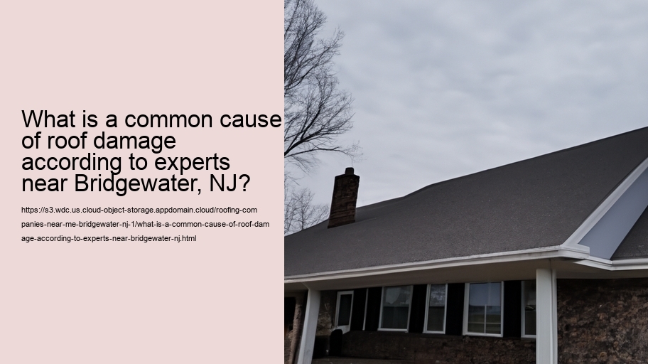 What is a common cause of roof damage according to experts near Bridgewater, NJ?  