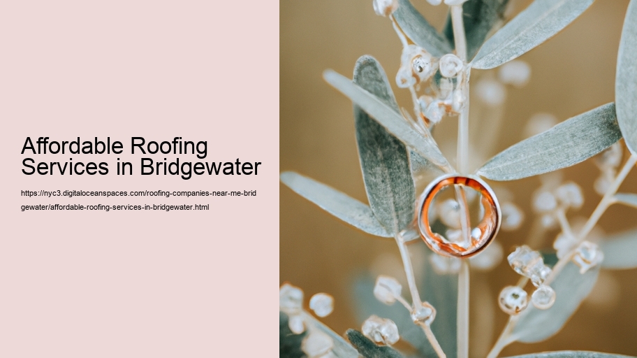 Affordable Roofing Services in Bridgewater