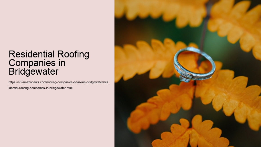 Residential Roofing Companies in Bridgewater