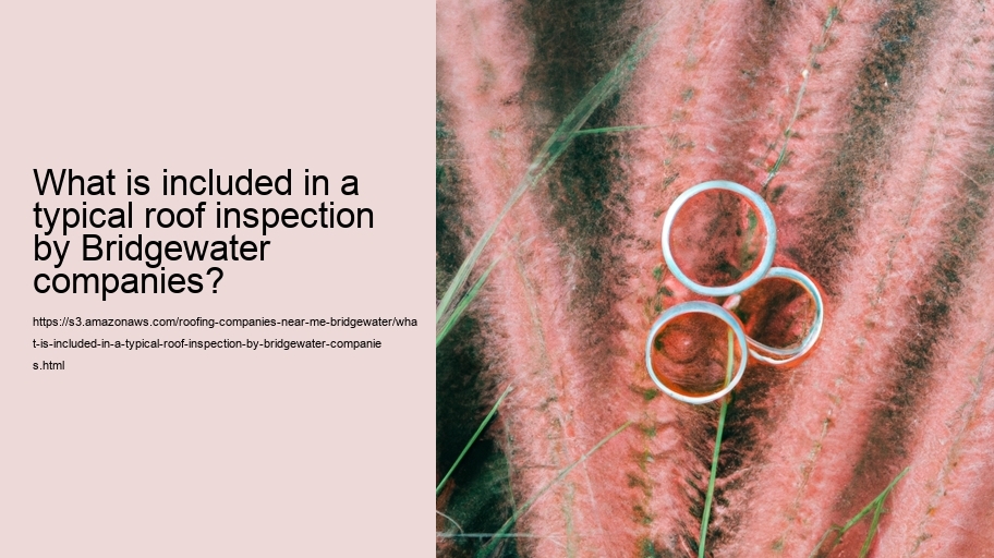 What is included in a typical roof inspection by Bridgewater companies?