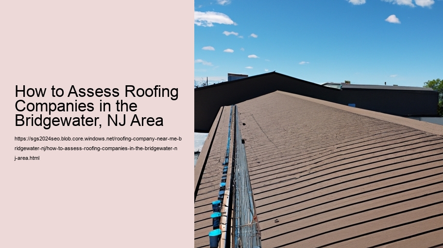 How to Assess Roofing Companies in the Bridgewater, NJ Area  