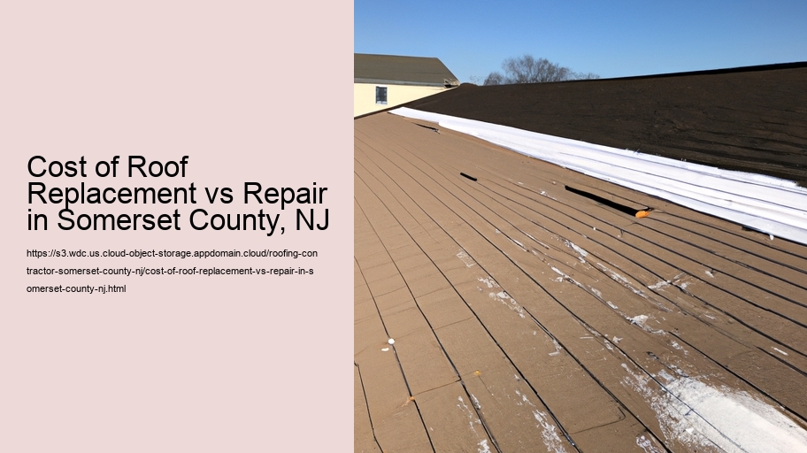 Cost of Roof Replacement vs Repair in Somerset County, NJ