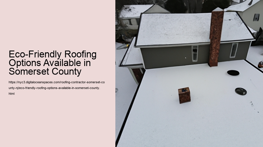 Eco-Friendly Roofing Options Available in Somerset County